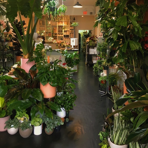 Meet your Posher, isis - Picture 2 of 5